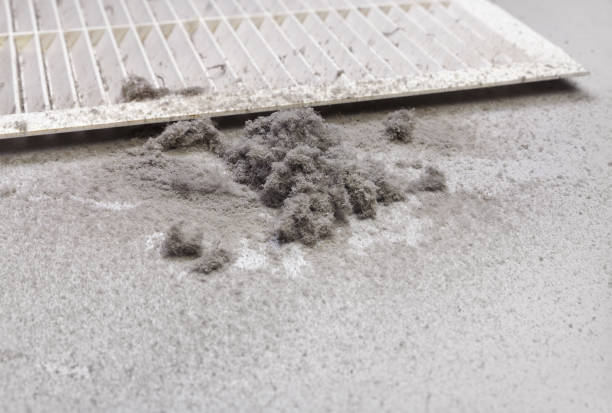 Best Professional Duct Cleaning Services  in Ridgefield, WA